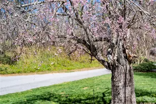 4 Dogwood Rd, Asheville, NC 28804 - Photo 3