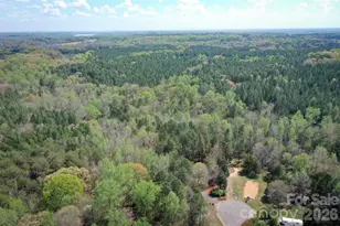 10368 Turnplow Dr, Davidson, NC 28036 - Photo 43