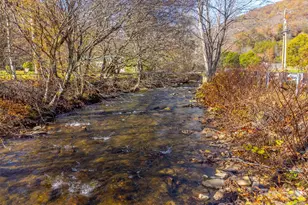 3385 Alarka Rd, Bryson City, NC 28713 - Photo 47