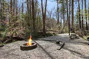 290 Sweetwater Hills Dr, Hendersonville, NC 28791 - Photo 9