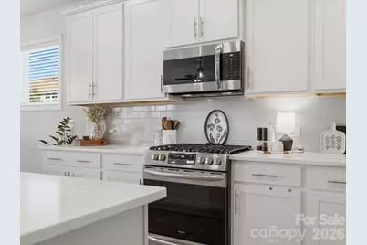 5038 Moselle Avenue, Indian Land, SC 29707 - Photo 9