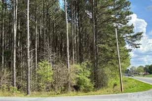 Vac Bowers Rd, Norwood, NC 28128 - Photo 1