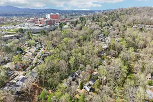 17 Castle St, Asheville, NC 28803 - Photo 41