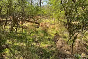 541 Community Rd, Shelby, NC 28152 - Photo 11