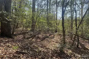 541 Community Rd, Shelby, NC 28152 - Photo 13