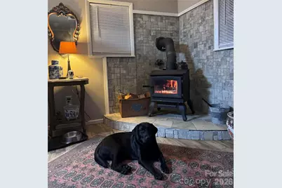 450 W Piney Mountain Road, Whittier, NC 28789 - Photo 5