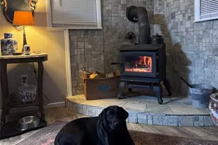 450 W Piney Mountain Rd, Whittier, NC 28789 - Photo 5