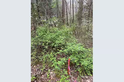 315 N River Road, Sylva, NC 28779 - Photo 37