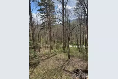 315 N River Road, Sylva, NC 28779 - Photo 5