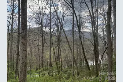 315 N River Road, Sylva, NC 28779 - Photo 5