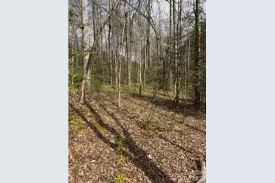 315 N River Road, Sylva, NC 28779 - Photo 11