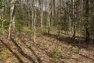 315 N River Rd, Sylva, NC 28779 - Photo 11