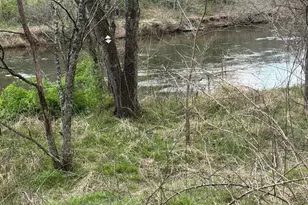 315 N River Rd, Sylva, NC 28779 - Photo 3