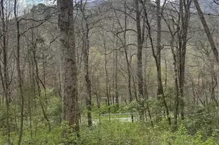 315 N River Rd, Sylva, NC 28779 - Photo 27