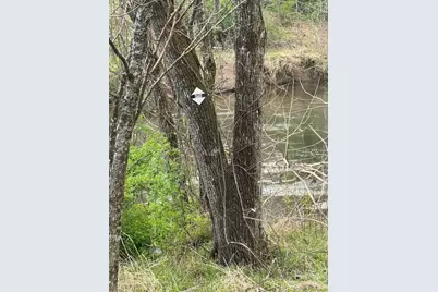 315 N River Road, Sylva, NC 28779 - Photo 27