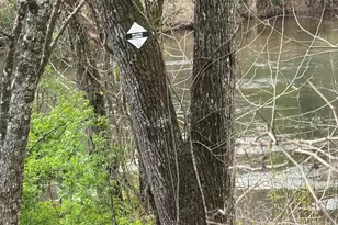 315 N River Rd, Sylva, NC 28779 - Photo 27