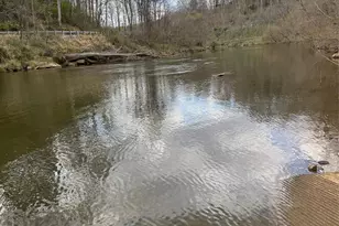 315 N River Rd, Sylva, NC 28779 - Photo 3