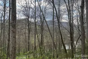 315 N River Rd, Sylva, NC 28779 - Photo 11