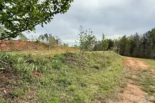 990 Romey Campbell Rd, Ellenboro, NC 28040 - Photo 47