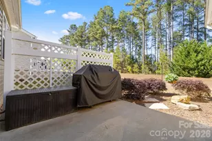 1002 Falling Leaf St, Indian Land, SC 29707 - Photo 29