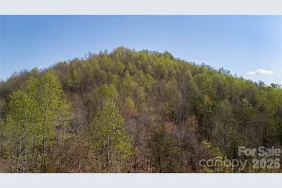 Tbd Owls Ridge Road, Bostic, NC 28018 - Photo 11