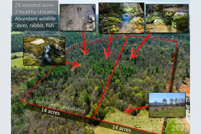 0000 Jimmy Fox Lane, Taylorsville, NC 28681 - Photo 1