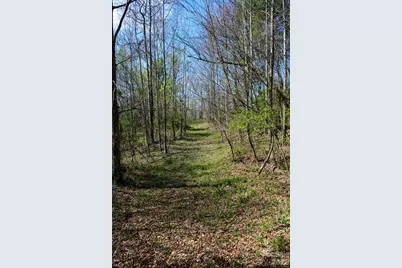 0000 Jimmy Fox Lane, Taylorsville, NC 28681 - Photo 7