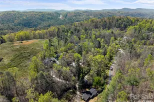 40 Morning Dove Ln, Flat Rock, NC 28731 - Photo 39