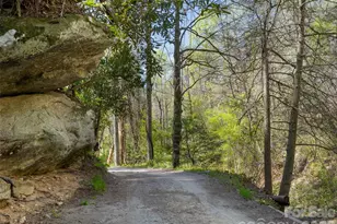 40 Morning Dove Ln, Flat Rock, NC 28731 - Photo 41