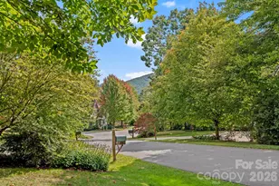 25 E Owl Creek Ln, Fairview, NC 28730 - Photo 3