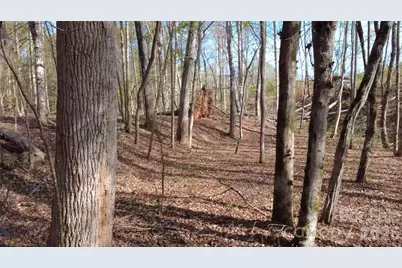 00 Bobby Faucette Road #9, Jonesville, SC 29353 - Photo 9