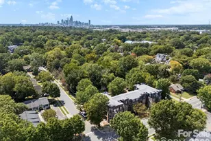 3239 Wesley Ave, Charlotte, NC 28205 - Photo 17