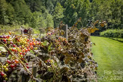 1638 Johns Ridge Parkway #144, Lenoir, NC 28645 - Photo 17