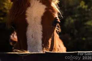 1638 Johns Ridge Pkwy, Lenoir, NC 28645 - Photo 41