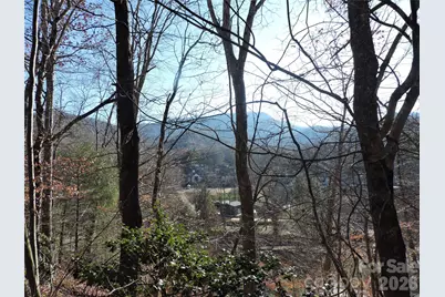 10 Whitman Lane #41, Black Mountain, NC 28711 - Photo 3