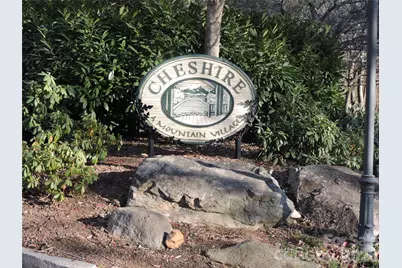 10 Whitman Lane #41, Black Mountain, NC 28711 - Photo 1