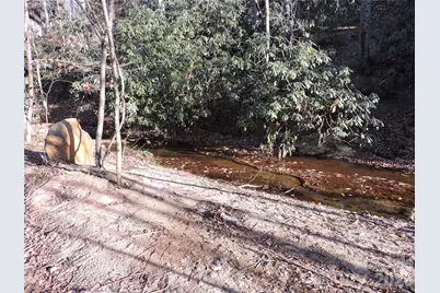 10 Whitman Lane #41, Black Mountain, NC 28711 - Photo 21