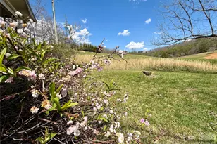 637 Fletcher Martin Rd, Alexander, NC 28701 - Photo 3