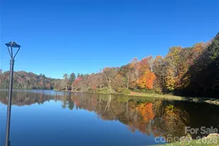 229 Spring Brook Rd, Newland, NC 28657 - Photo 33