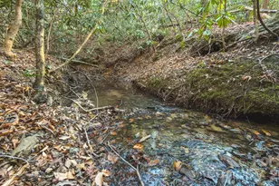 Tbd All Healing Springs Rd, Taylorsville, NC 28681 - Photo 1