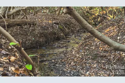 Tbd All Healing Springs Road #1, Taylorsville, NC 28681 - Photo 15