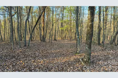 Tbd All Healing Springs Road #1, Taylorsville, NC 28681 - Photo 19