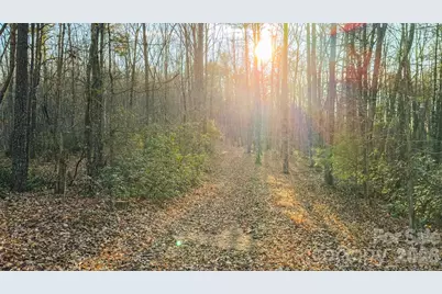 Tbd All Healing Springs Road #1, Taylorsville, NC 28681 - Photo 17