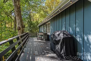 23 Springwood Dr, Asheville, NC 28805 - Photo 21