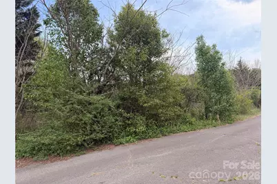 7557 Cowtail Lane, Connelly Springs, NC 28612 - Photo 5