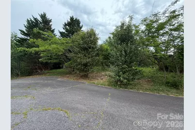 7557 Cowtail Lane, Connelly Springs, NC 28612 - Photo 7