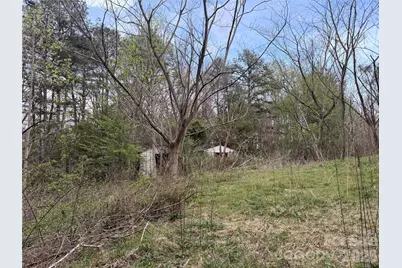 7557 Cowtail Lane, Connelly Springs, NC 28612 - Photo 9