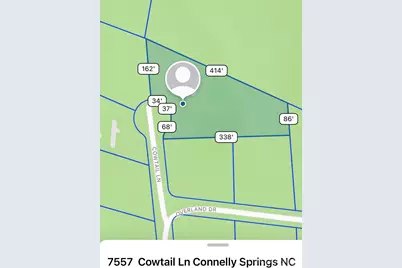 7557 Cowtail Lane, Connelly Springs, NC 28612 - Photo 11