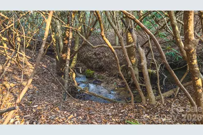 Tbd All Healing Springs Road #2, Taylorsville, NC 28681 - Photo 17