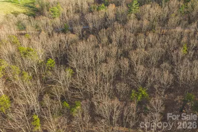 Tbd All Healing Springs Road #2, Taylorsville, NC 28681 - Photo 7